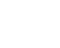 Canvas Logo
